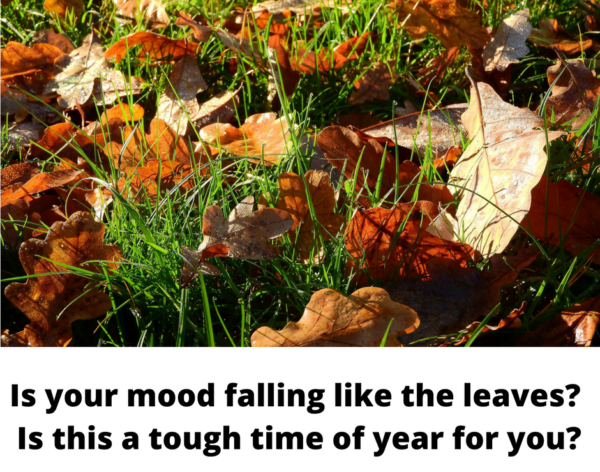https://www.carolinecavanagh.co.uk/wp-content/uploads/2022/10/Is-your-mood-falling-like-the-leaves-.png